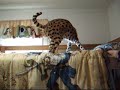serval jumping on bunk bed