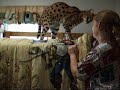 serval jumping on bunk bed