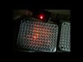 ML-28.wmv