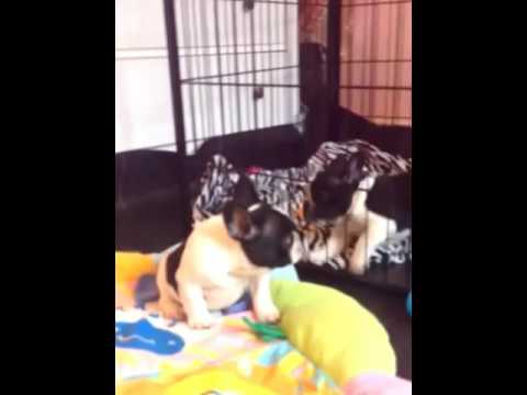 Kayla ostapbender play time!!!