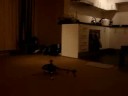 Belt CP indoor hovering