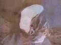 Bekijk videoclip 'Nadieh - Windforce 11'
