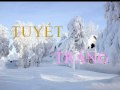 TUYETtrang_wmv.wmv