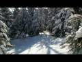 L'état de grâce  Le Massif, Charlevoix Québec  ski ,snowboard