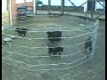 Voor het eerst buiten een hele belevenis voor de pups