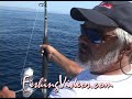 Roosters-Baja-Fishin
