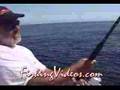 Sailfish & Roosters: Baja Fishing in East Cape