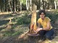 navas del marqués