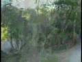 Rancho Burica -Trip top Pavones/Matapalo-