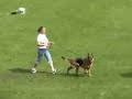SV BSZS-2006 Oberhausen World German Shepherd Championship Hundinen.  Aurum Aglis Vinika (Russia) in full including Protection sevice, description and ring. Irina Kuznetsova ( vom Irin Hof kennel ).Бундес Зигер 2006 Оберхаузен Немецкая овчарка Суки.  Аурум Аглис Виника Ирина Кузнецова ( владелец питомник фом Ирин Хоф ). Полная версия, включая проверку поведения, описание и сравнительный ринг.http://members.virtualtourist.com/m/tt/79622/#TL