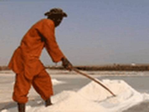how to harvest iodine