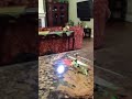 "Fuck you!!! Fuck you!!! Ahhh Shit!!!" [5s]