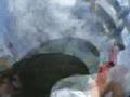 Albanian Skydiving Avdi