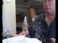  oil lamp parts little giant