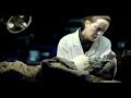 Discovery Channel Commercial Discovery Channel Commercial