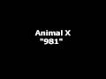 Animal X - 981