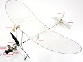 Insect-inspired Autonomous Microflyer