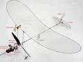 Insect-inspired Autonomous Microflyer