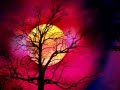 Imagine - Pan Pipes Flute - John Lennon