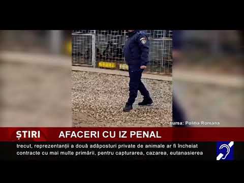 Afaceri cu iz penal
