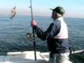 videos de Fishing with Don