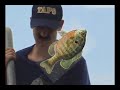 Mississippi Catfish Massacre Teaser Mississippi Catfish Massacre Teaser
