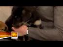 Kate Walsh - The Today Show Kate Walsh - The Today Show