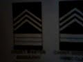 how to learn j r o t c cadet ranks