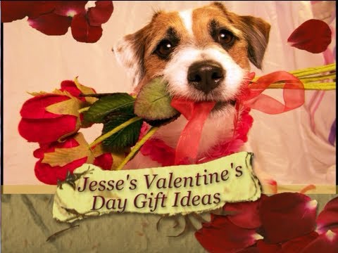 jack russell