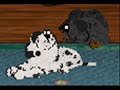 My Petz