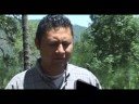 Reforestación: La mentira de Proárbol. 2a parte