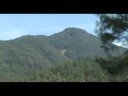 Reforestación: La mentira de Proárbol. 2a parte