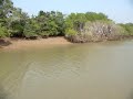 Guinness World Record- Longest crocodile in the world!!!!!!!