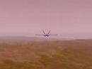 Flight Flight
