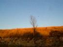 Clay pigeons 2