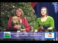Marion County Dog Shelter Holiday Greeting