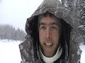 Nouvel an dans le bois...