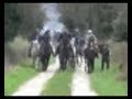 deux-sevres 1 deux-sevres 1