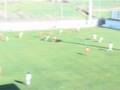 Wisła - CSKA Sofia