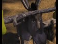 SHREK _ WOJNA O SAMOLOT SHREK _ WOJNA O SAMOLOT