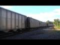 NS 7607 Leads NS 702 at North Dalton