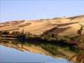 الشاعر مهدي بشير التمامي ... حدى داره ننزح ونجم