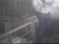 Crueldad y maltrato animal