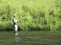 The Best of Kamchatka