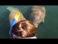 Swimming with the Manatees: Patrick\ Swimming with the Manatees: Patrick\