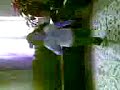 Jumpstyle