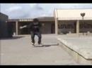 Patin De Perro Segmento 2
