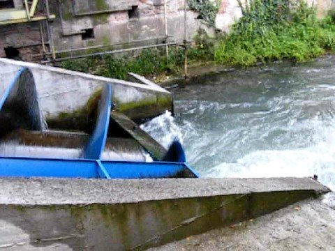 Guarda il video