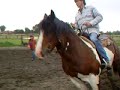 IRISH , quand un lourd JOUE AU COW-BOY.. NANOUK