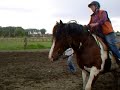 IRISH , quand un lourd JOUE AU COW-BOY.. NANOUK